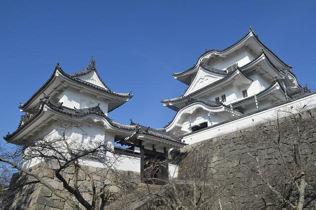 Iga Ueno Castle